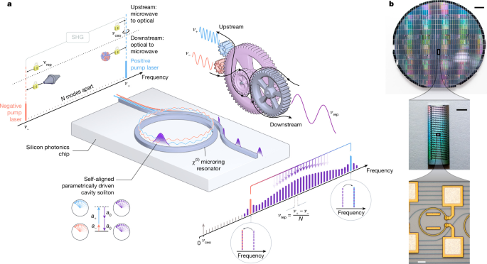 Self-aligned optical microcomb emerging between octave-separated lasers