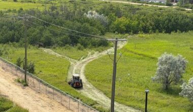 Amazon in the weeds over damage to tall grass reserve – Winnipeg Free Press