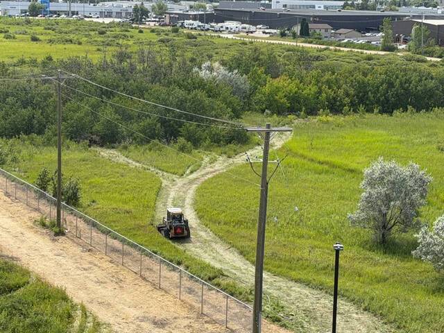 Amazon in the weeds over damage to tall grass reserve – Winnipeg Free Press