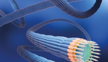 Bacteria discovered to be synthesising metal–organic frameworks with ‘extraordinary conductivity’ | Research