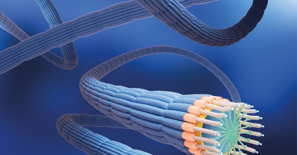 Bacteria discovered to be synthesising metal–organic frameworks with ‘extraordinary conductivity’ | Research
