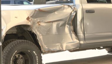Deer mating season drives up collision risk in Horry County
