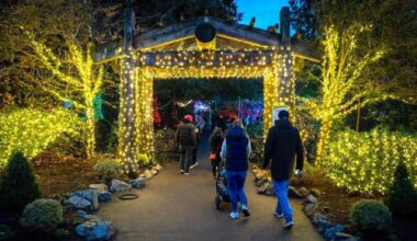 Claim free tickets for Surrey’s popular Bear Creek Lights walk-thru, Nov. 6-20