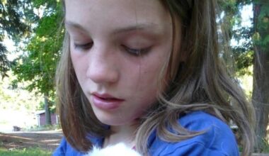 Sophia Stel: the greatest album of all time Album Review