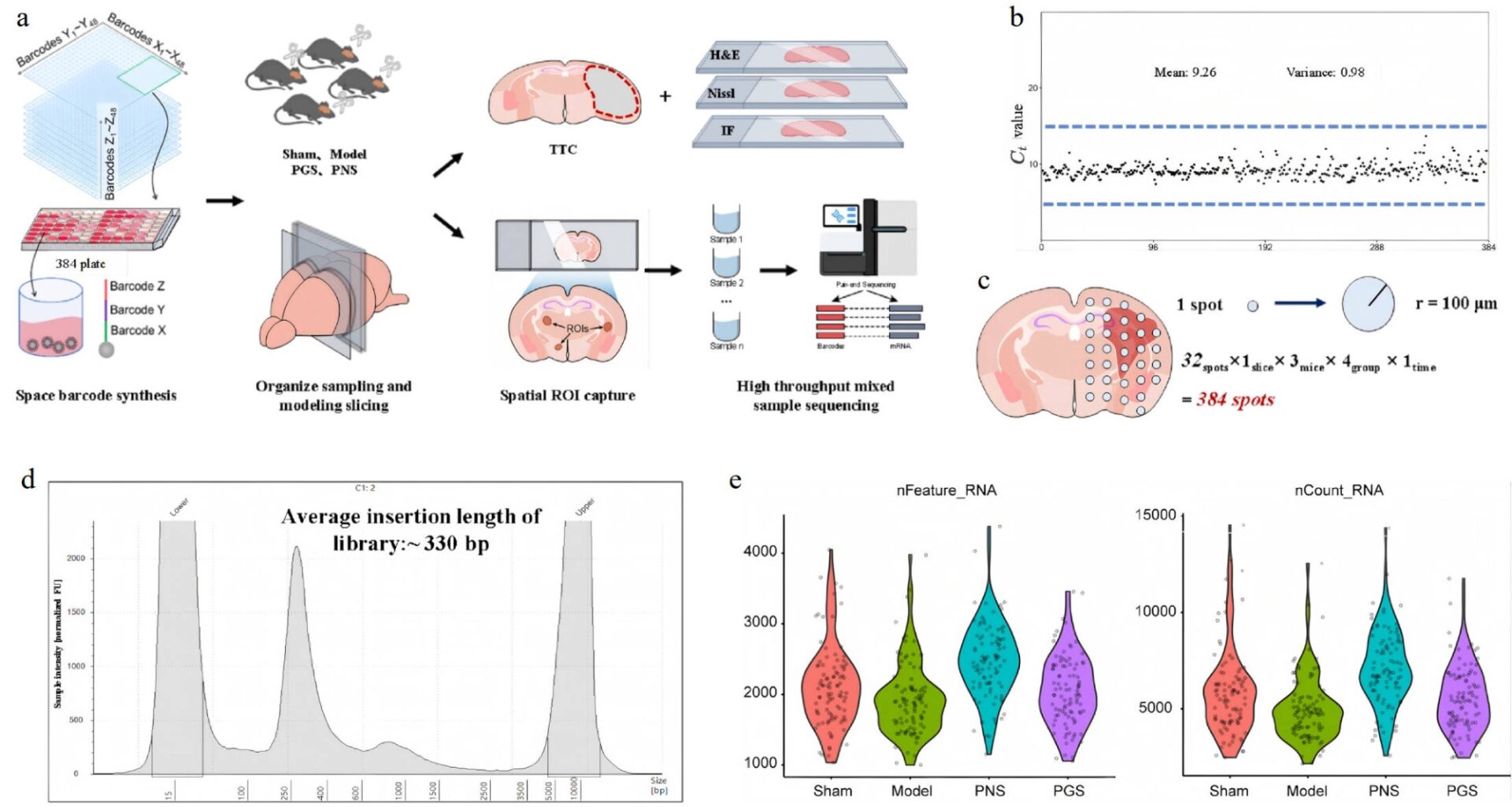 Newswise: Spatial transcriptomics reveals complementary stroke protection by ginseng saponins