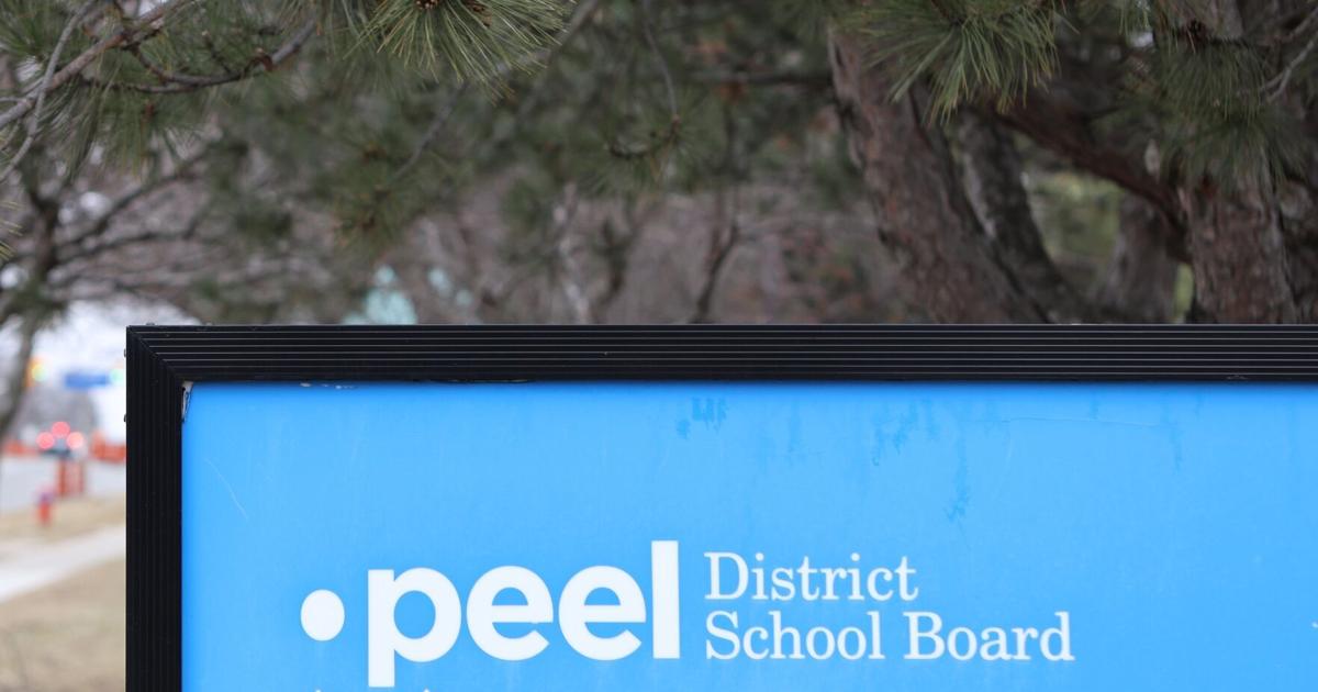 Meet the PDSB trustee candidates in Mississauga Wards 1, 7