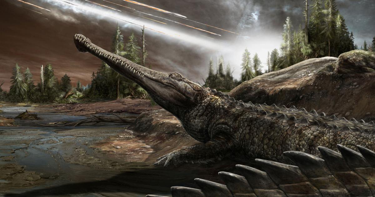 An affinity for warm climes has helped crocs thrive for eons - Winston-Salem Journal