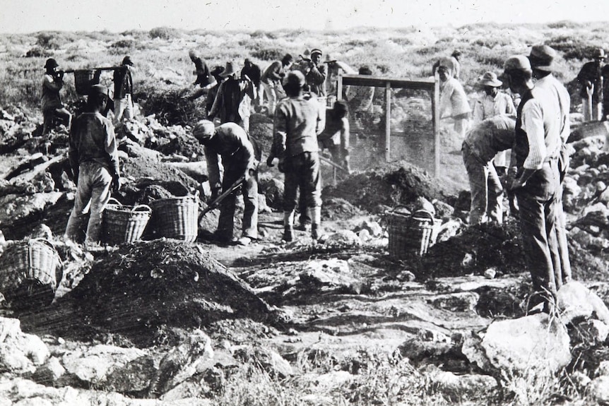 A black and white image of men with shovels and baskets digging on a barren island.