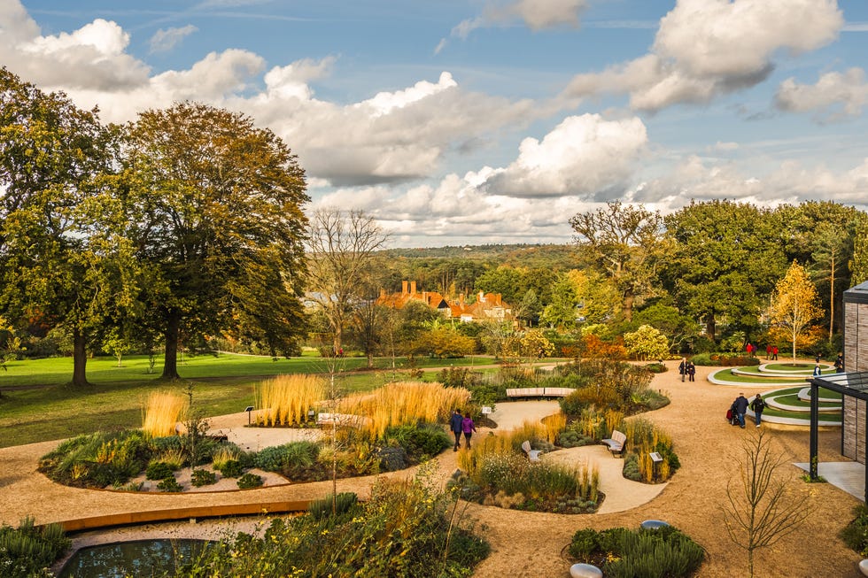 wisley, surrey, england, view of rhs garden wisley in fall