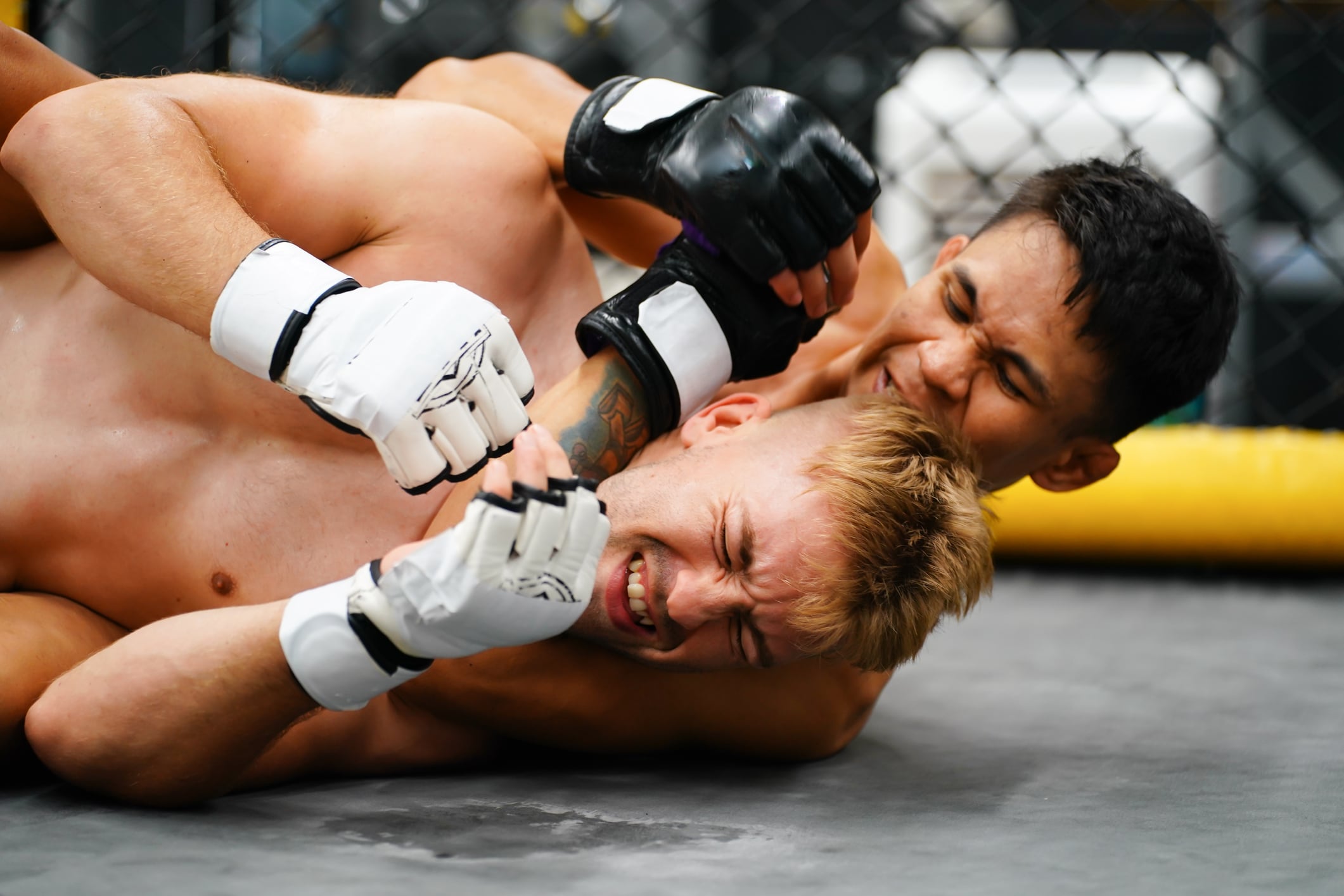 Mixed Martial Art