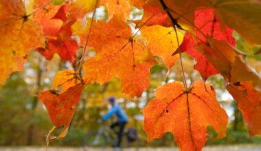 Stan Wong: Behind October's troubling reputation among investors