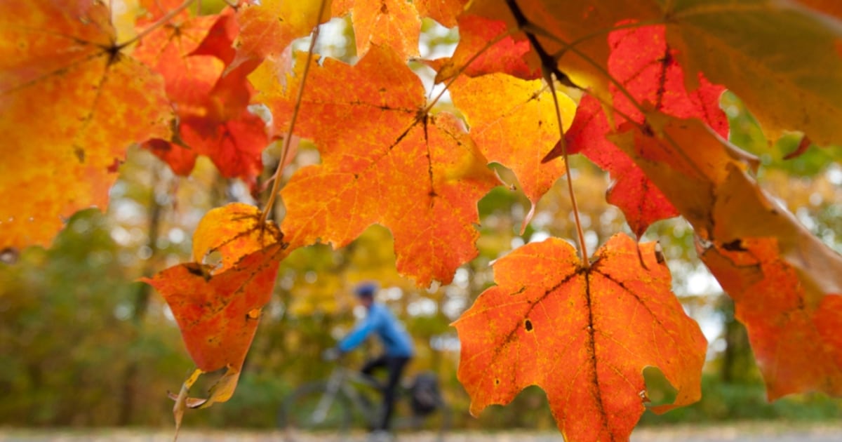 Stan Wong: Behind October's troubling reputation among investors