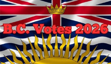 B.C. VOTES: Meet the candidates for Surrey-Serpentine River