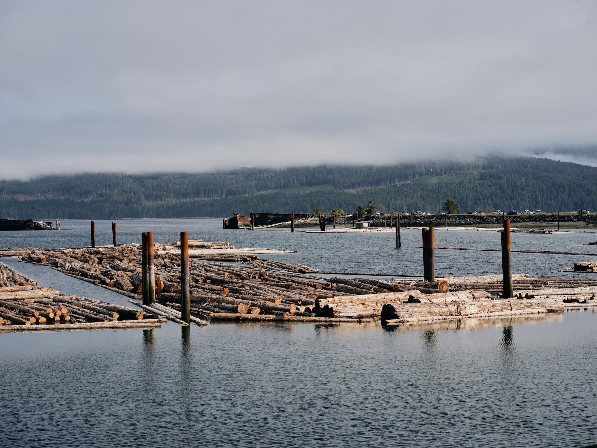 Piles of logs float on a body of water, with a misty forested hill in the background on the opposite shore.