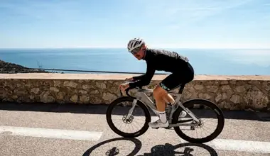 ‘Chill’ snakes and a journey of 420km – Valtteri Bottas’ epic bike ride from Malaysia to Singapore