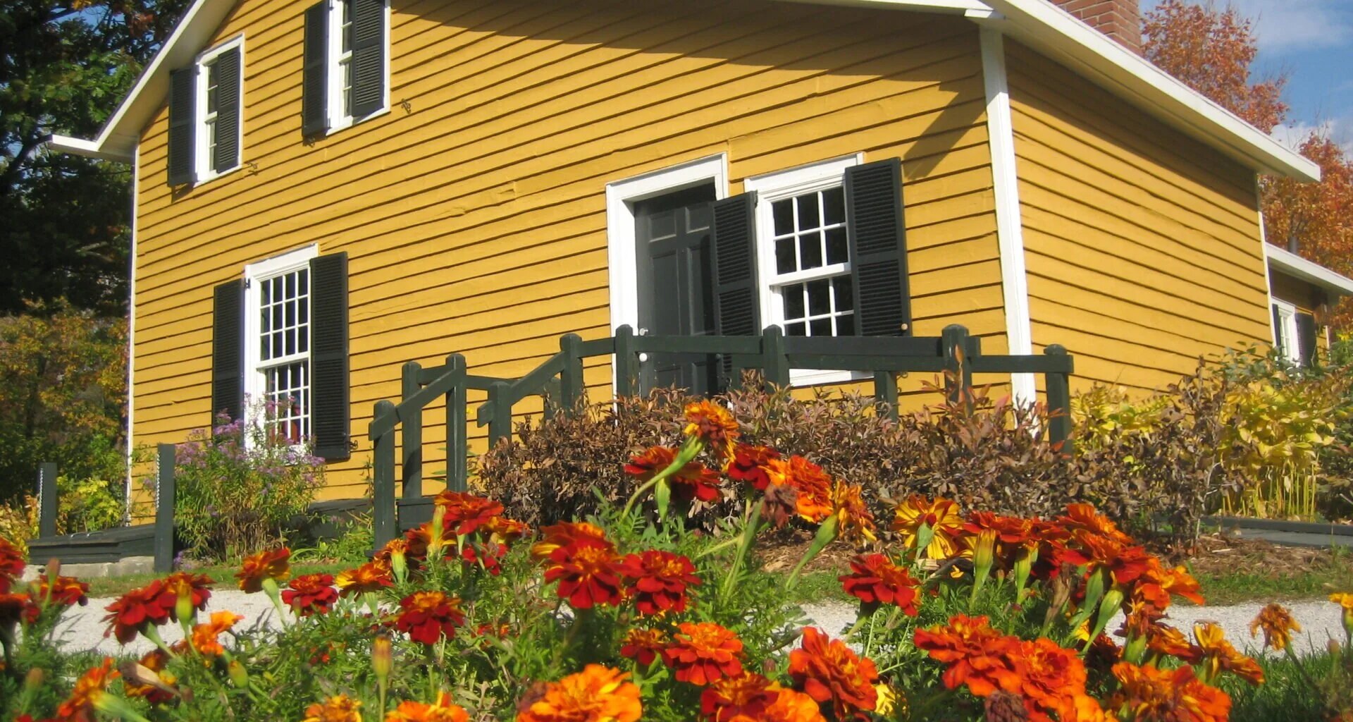 Our Life with Flowers in Mississauga — Modern Mississauga Media