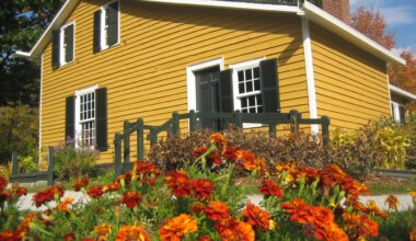 Our Life with Flowers in Mississauga — Modern Mississauga Media