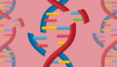 New gene editing system offers promising CRISPR alternative