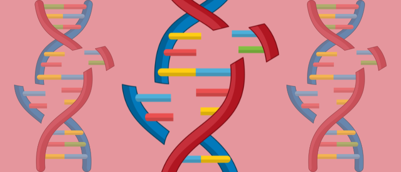 New gene editing system offers promising CRISPR alternative