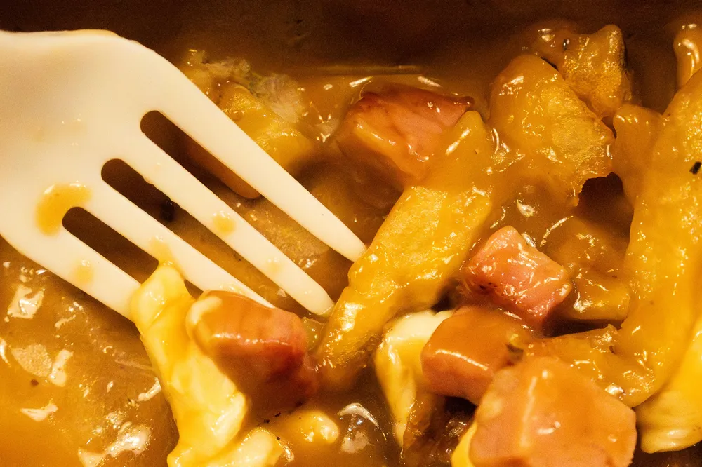 A fork in gravy, cheese curds, and fries
