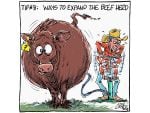 Aa editorial cartoon showing a bloated cow and a farmer beside it with a hose coming from the cow to an air pump the farmer is frantically pumping up and down. Text at the top of the cartoon reads, "Tip #8: Ways to expand the beef herd."