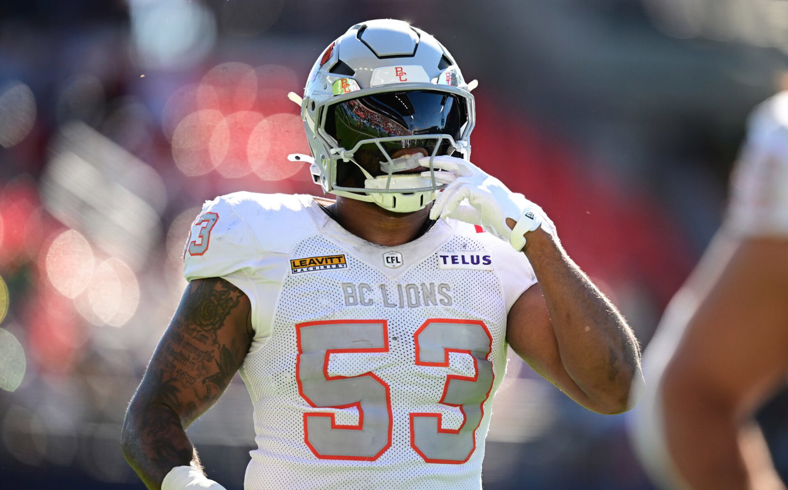 3DownNation CFL awards: the best and worst of Week 18