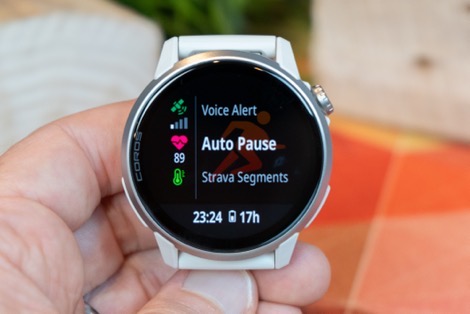 DSC08184.jpg
