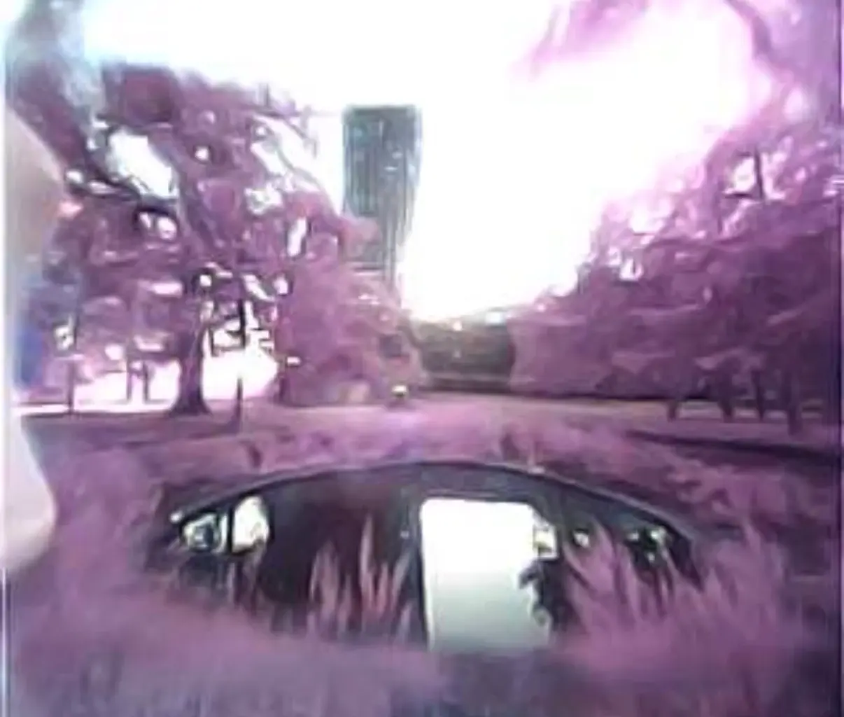Street photography with Dyson's CameraJet toothbrush - Boing Boing