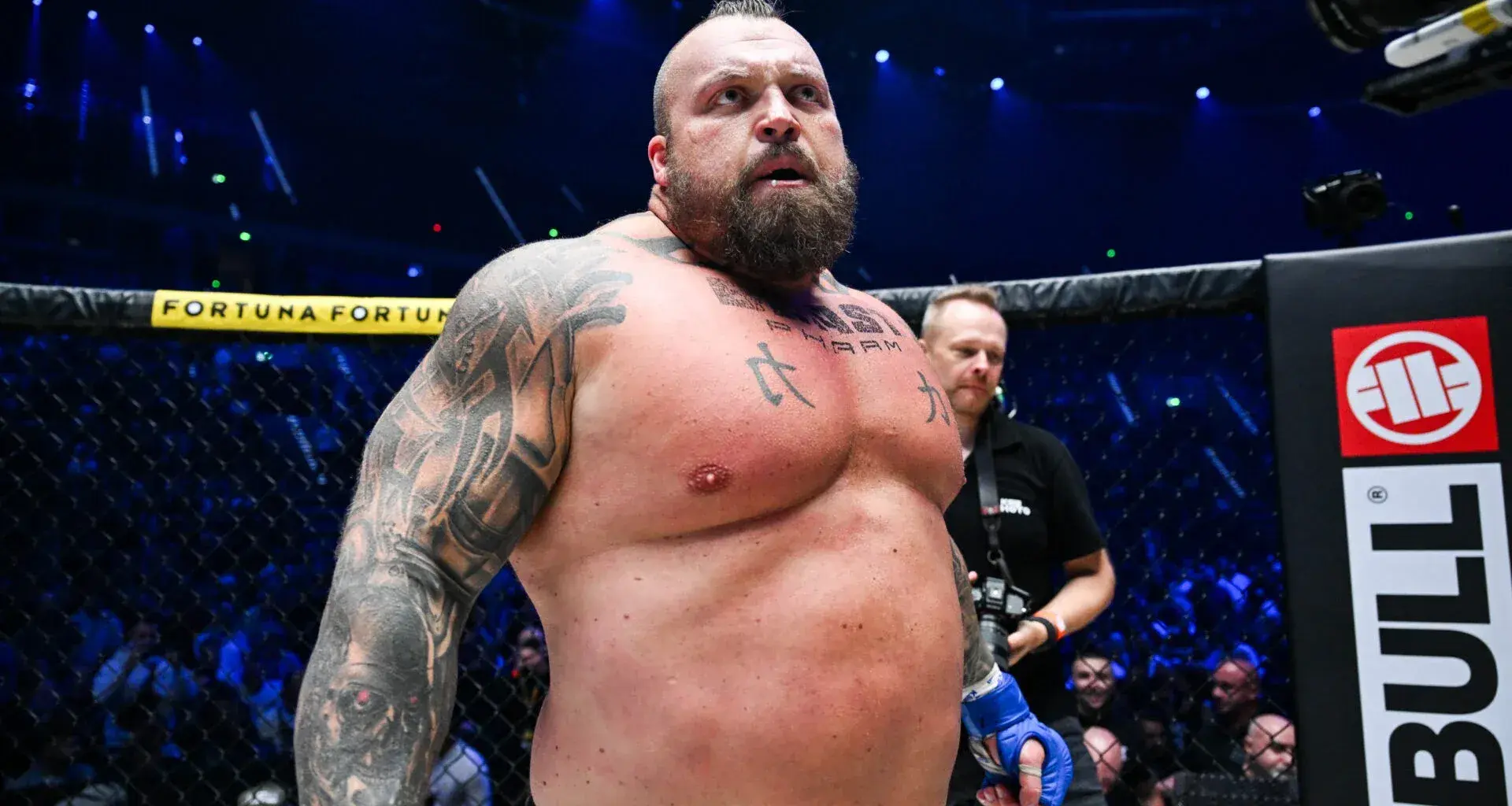 patricio-pitbull-vs-mark-madsen