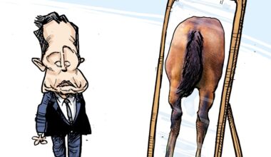 A cartoon headlined &lsquo;Elon Musk calls on Quebec, Saskatchewan and Alberta to separate from Canada&rsquo; shows a caricature of Elon Musk standing before a full-length mirror reflecting a horse's backside.