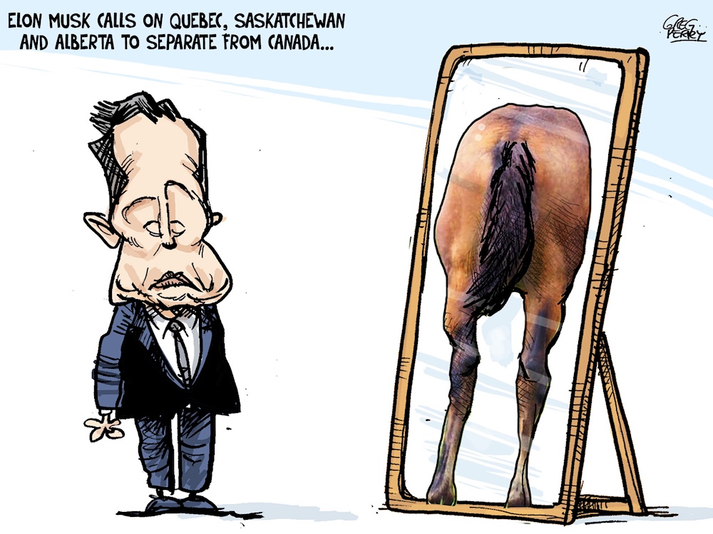 A cartoon headlined &lsquo;Elon Musk calls on Quebec, Saskatchewan and Alberta to separate from Canada&rsquo; shows a caricature of Elon Musk standing before a full-length mirror reflecting a horse's backside.
