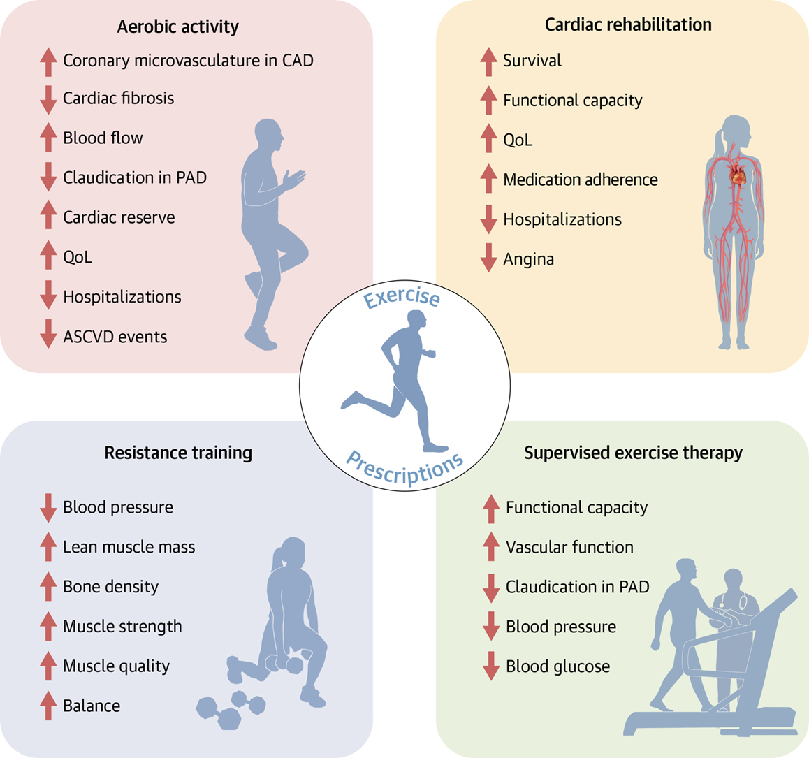 JACC Central Illustration For Exercise Prescriptions For CV Health ACC Scientific Statement