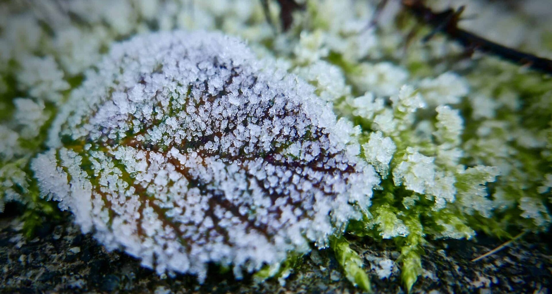 Oct. 20 weather: Fog patches and frost in southern Ontario