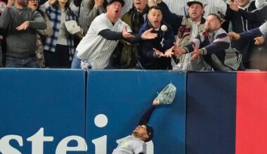 Fan interference denies Yankees of game-tying HR vs. Rays