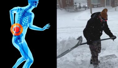Why you should align your spine ahead of the colder months