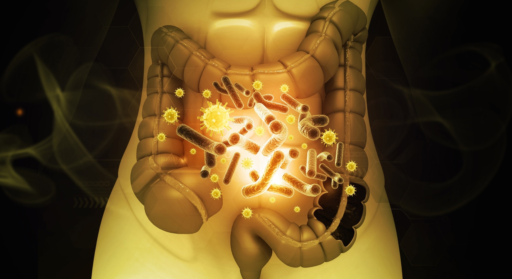 Intestinal microbiome concept