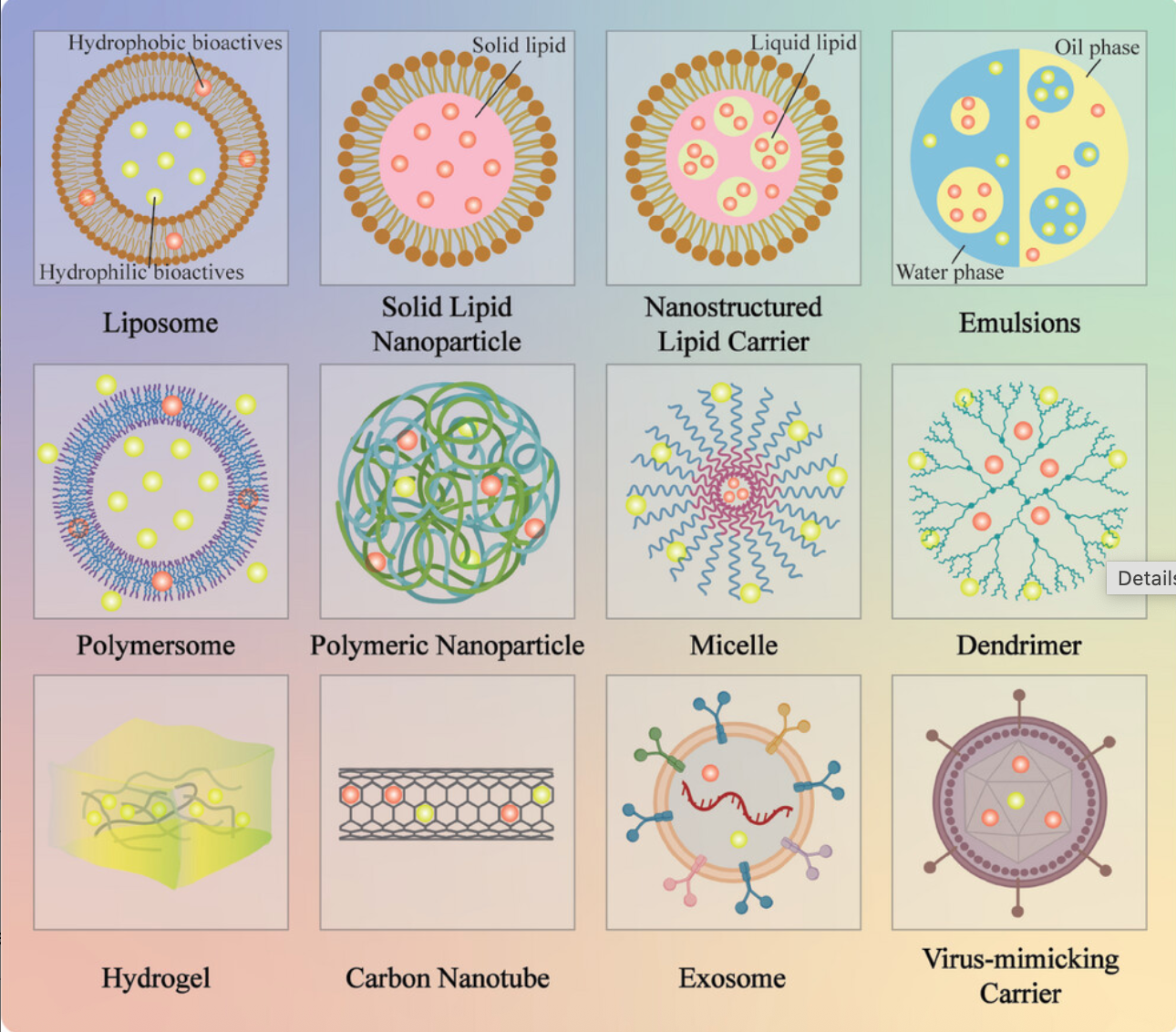 Common systems developed for oral delivery of bioactives.