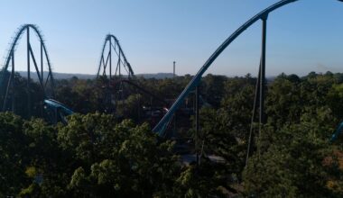 Six Flags closes 9 North American roller-coasters after families watch man fall to his death - CTV News