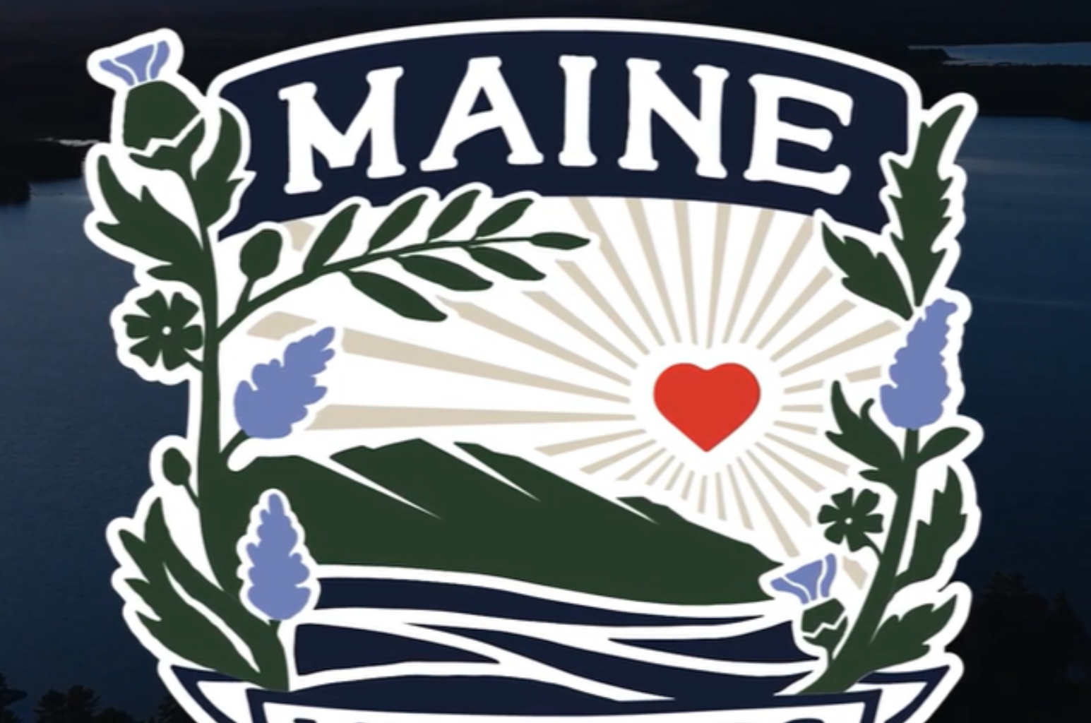 Introducing Maine Wildness, Maine’s new women’s soccer club – The Free Press