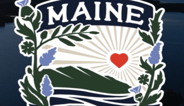 Introducing Maine Wildness, Maine’s new women’s soccer club – The Free Press