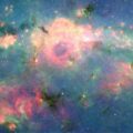 seeds of life superalcohol