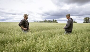 Two men stand in a farm field under cloudy sky