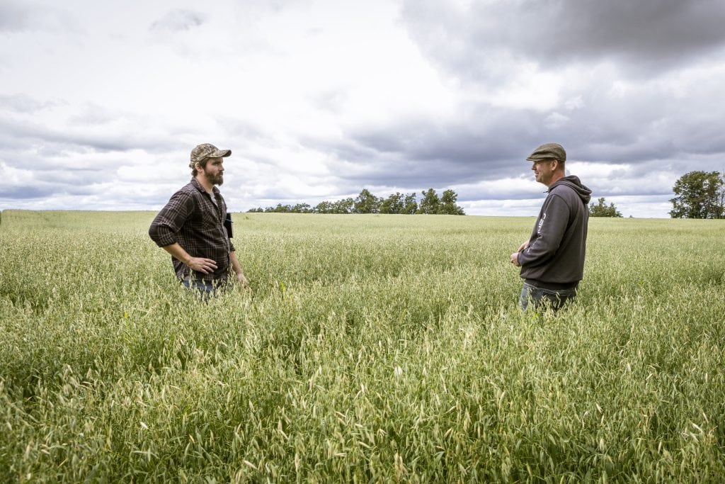Two men stand in a farm field under cloudy sky