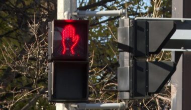 Winnipeg police investigate following numerous collisions involving pedestrians over the past month
