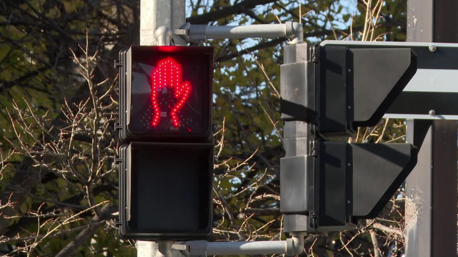 Winnipeg police investigate following numerous collisions involving pedestrians over the past month