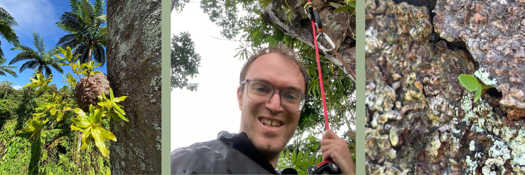 A male academic wearing glasses holding a red rope attached to a tree, flanked by images of exotic plant life