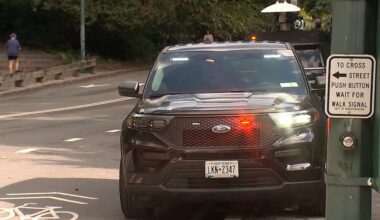Cyclist dies after hitting dog in Central Park