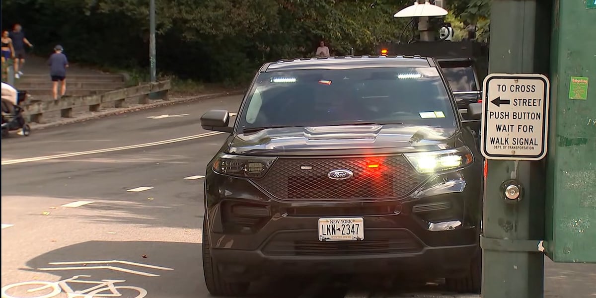 Cyclist dies after hitting dog in Central Park