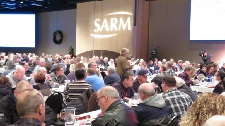 SARM visiting Ottawa to speak for education, healthcare, and broadband - DiscoverMooseJaw.com