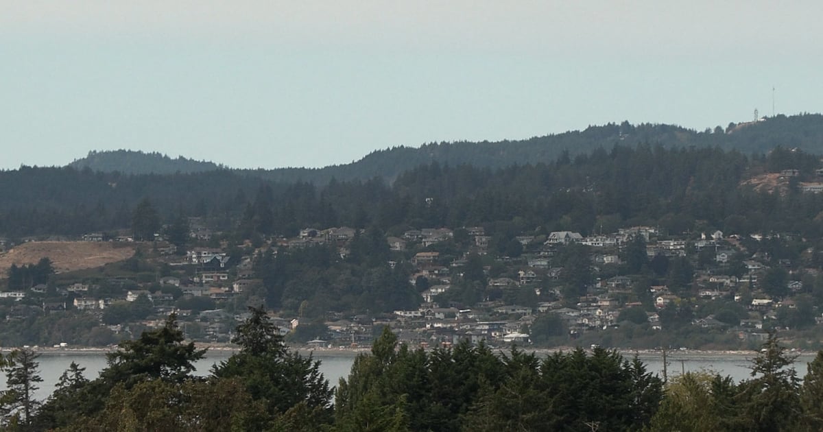 Witnesses sought after deer illegally shot in Vancouver Island city - CTV News